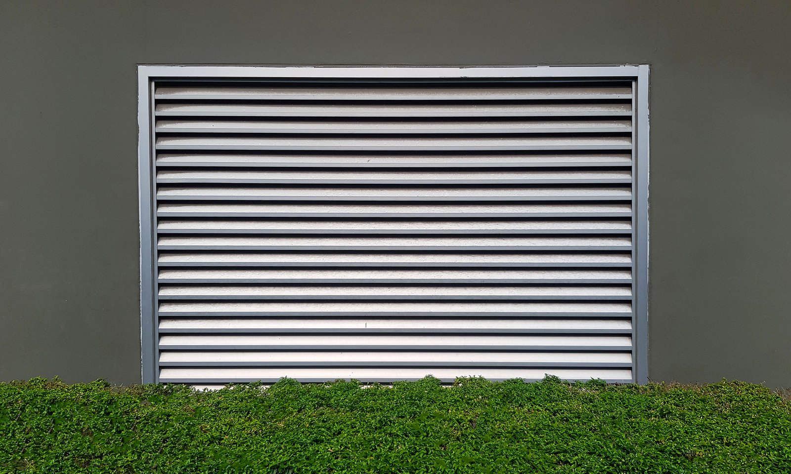 shutter